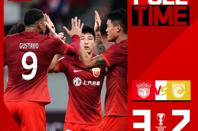 中国站点-海湾200主机说明书pdf